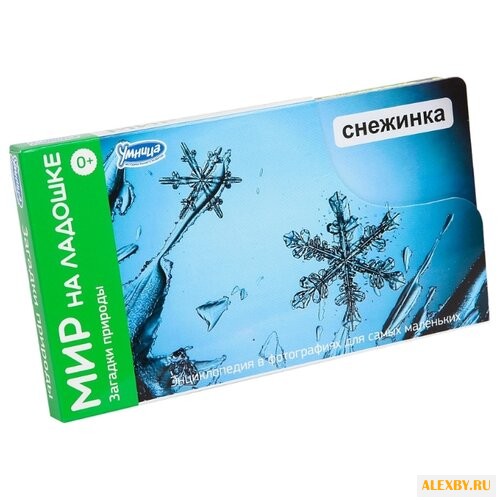 Набор карточек Умница Мир на