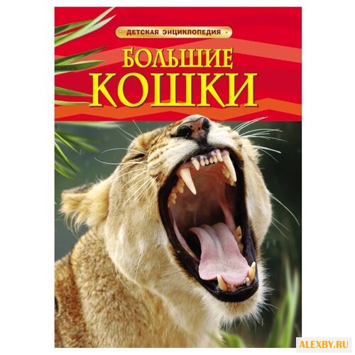 Тернбулл С. Детская