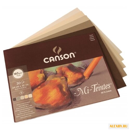 Альбом Canson Mi-Teintes 24 х