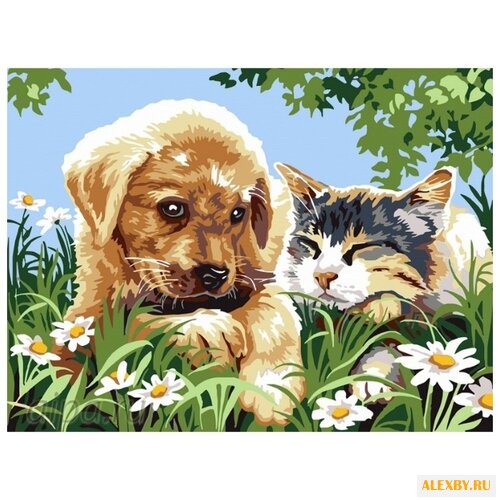 Color Kit Картина по номерам