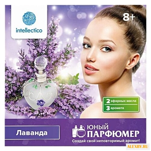 Intellectico Юный парфюмер.