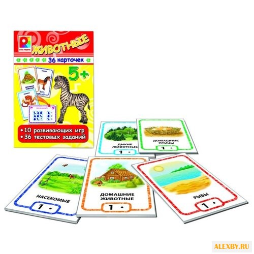 Набор настольных игр Радуга