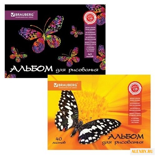 Альбом для рисования BRAUBERG