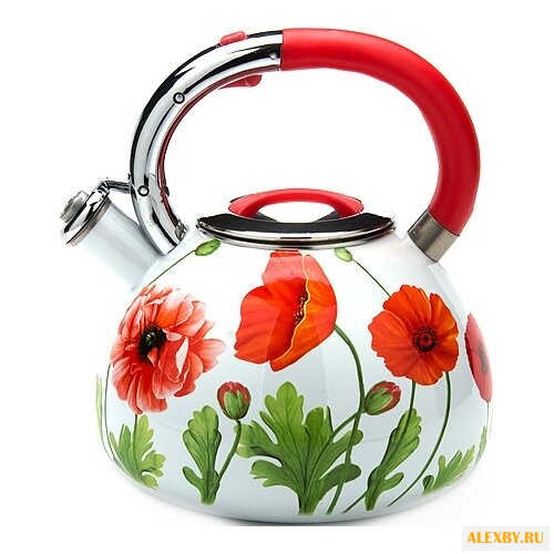 MAYER & BOCH Чайник 23855 35 л