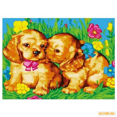 Цветной Картина по номерам