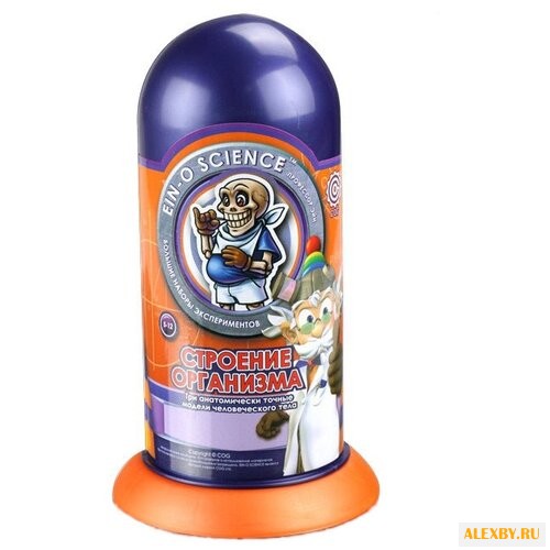 Набор Профессор Эйн Строение