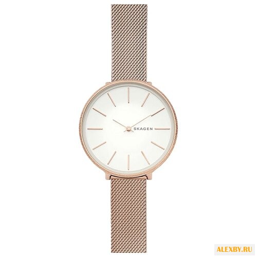 Наручные часы SKAGEN SKW2726