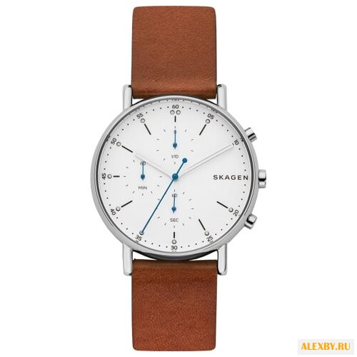 Наручные часы SKAGEN SKW6462