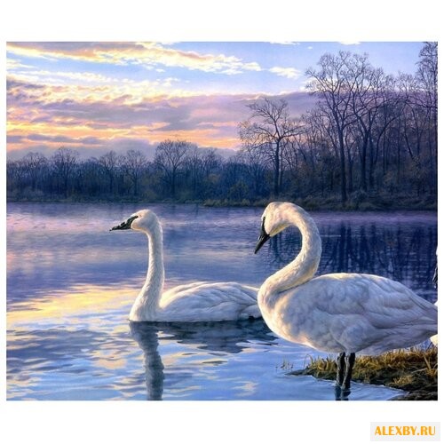 Color Kit Картина по номерам