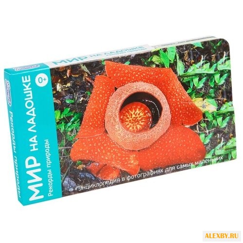 Набор карточек Умница Мир на