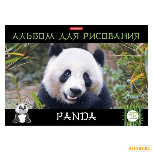 Альбом для рисования