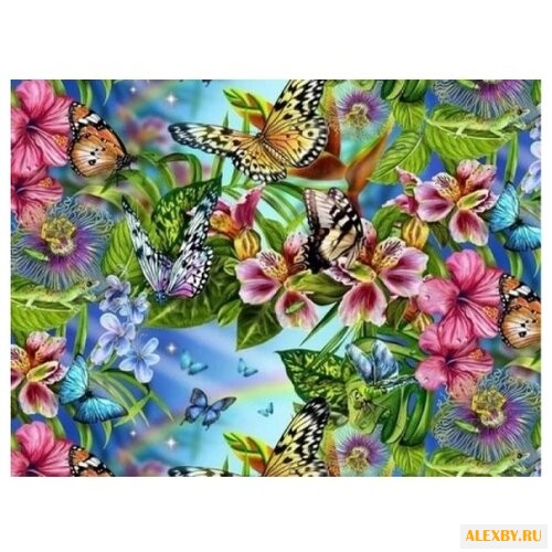 Color Kit Картина по номерам