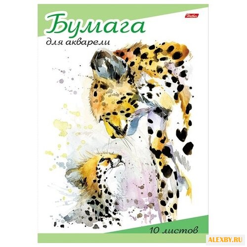 Папка для акварели Hatber