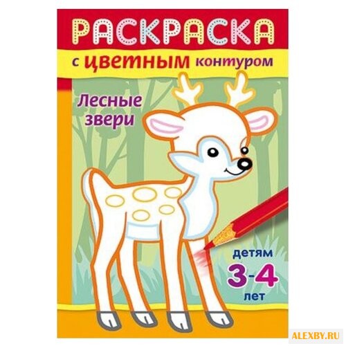 Hatber Раскраска с цветным