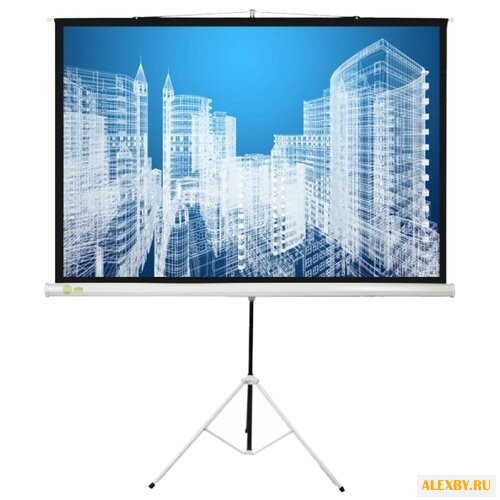 Рулонный матовый белый экран