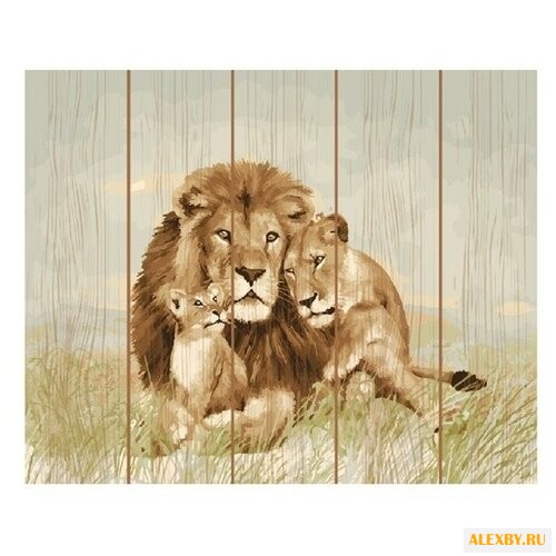 Molly Картина по номерам