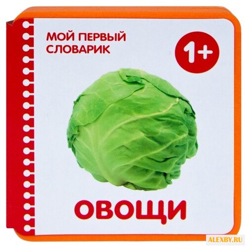 Краснушкина Е.Е. Мой первый