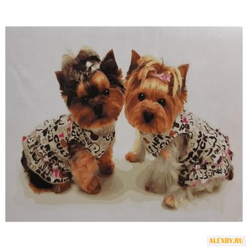 Color Kit Картина по номерам