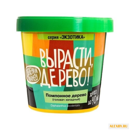 Набор для выращивания Вырасти