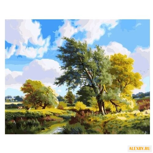 Color Kit Картина по номерам