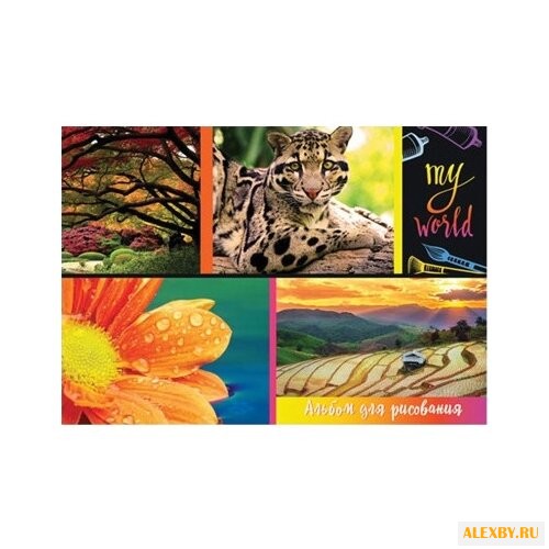 Альбом для рисования BG Мой мир