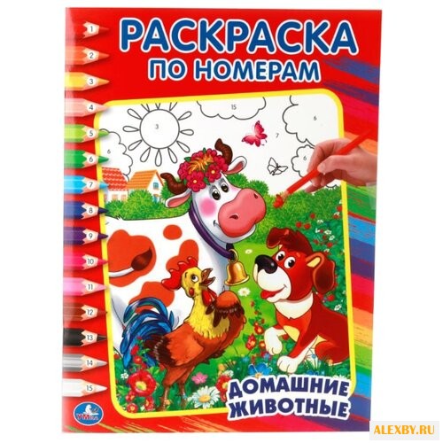 Умка Раскраска по номерам.