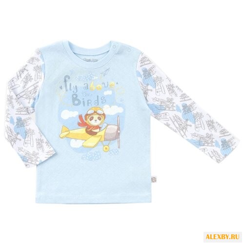 Лонгслив Free Age