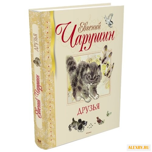 Чарушин Е. Библиотека детской