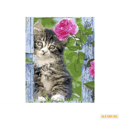 Paintboy Картина по номерам