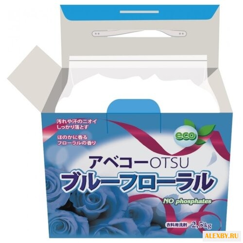 Стиральный порошок Daiichi OTSU