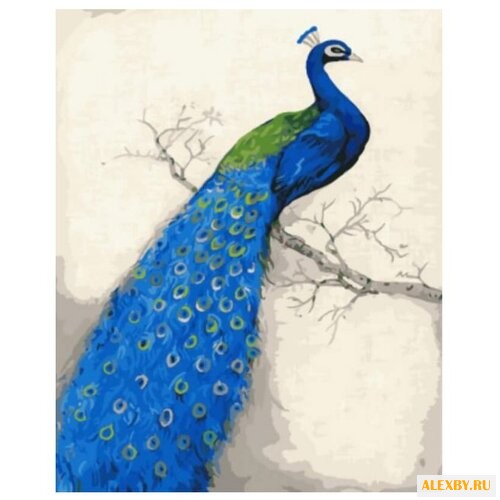 Paintboy Картина по номерам