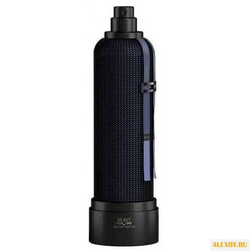 M.INT Mystic Treasure