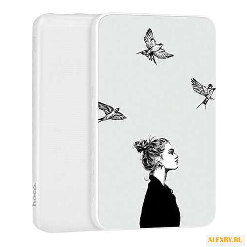 Аккумулятор Hoco J6-10000