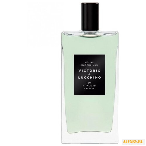 Victorio & Lucchino Aguas