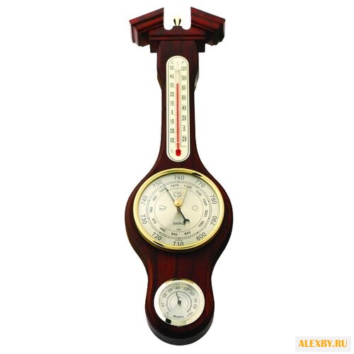 Метеостанция БРИГ+ М-50