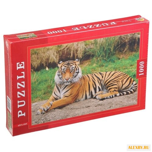 Пазл Рыжий кот Тигр П1000-0590