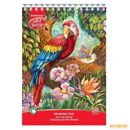 Альбом для рисования