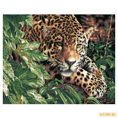 Paintboy Картина по номерам