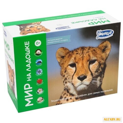 Набор карточек Умница Мир на