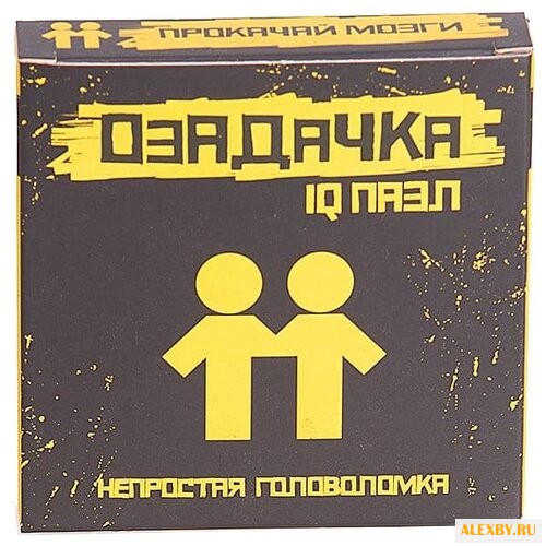 Головоломка Озадачка IQ ПАЗЛ