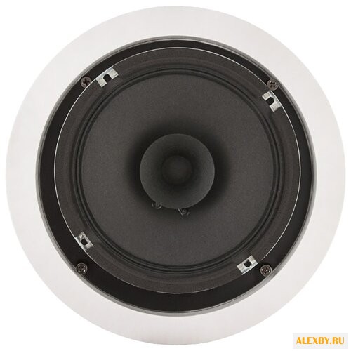 Акустическая система CVGaudio