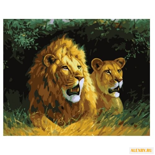 Белоснежка Картина по номерам