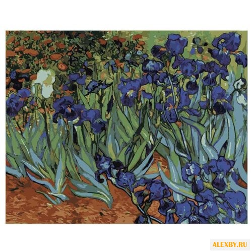 Цветной Картина по номерам