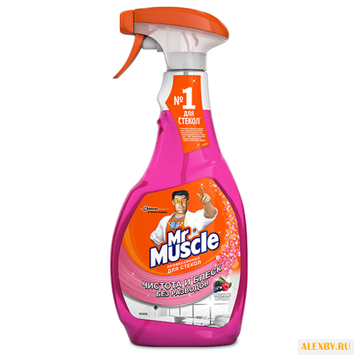 Спрей Mr. Muscle Профессионал