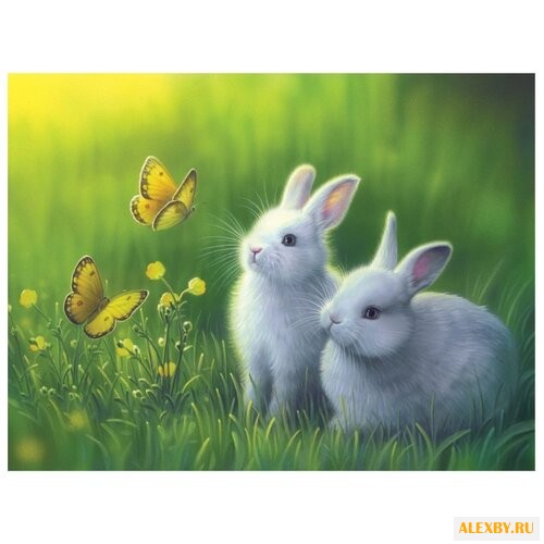 Color Kit Картина по номерам На