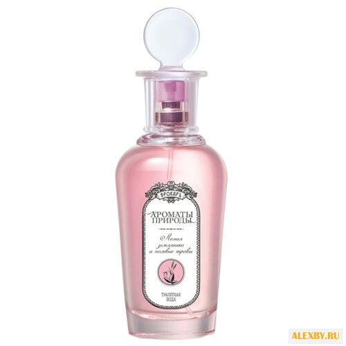 Brocard Ароматы природы: Лесная