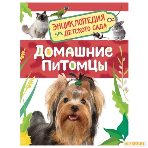 Травина И.В. Энциклопедия для