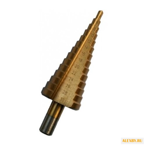 ПРАКТИКА 036-483