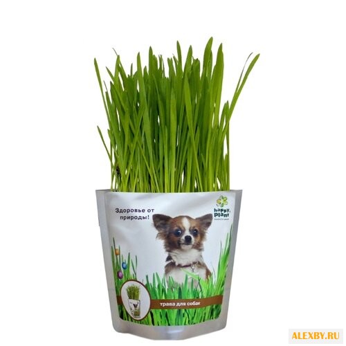 Лакомство для собак Happy Plant