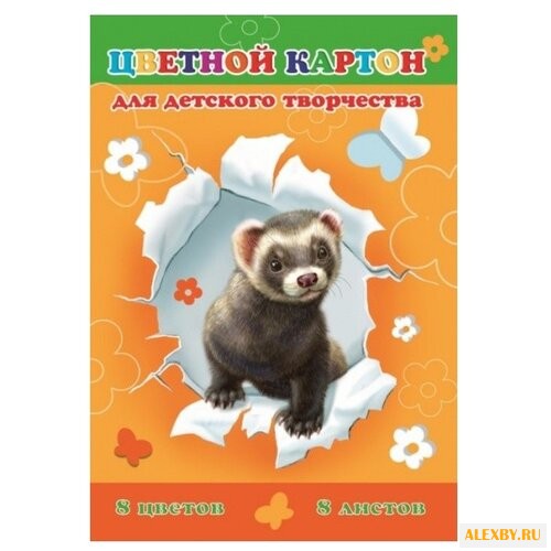 Цветной картон Милый хорек